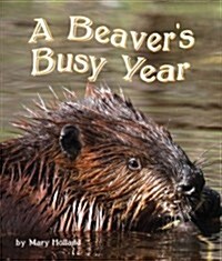 The Beavers Busy Year (Hardcover)