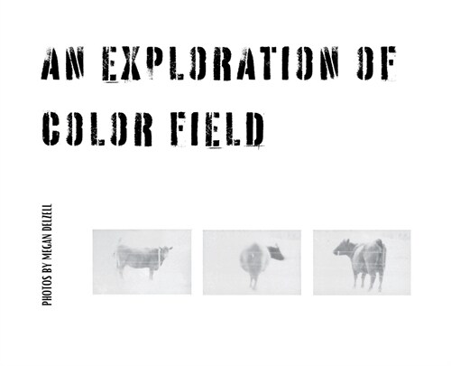 An Exploration In Color Field (Hardcover)