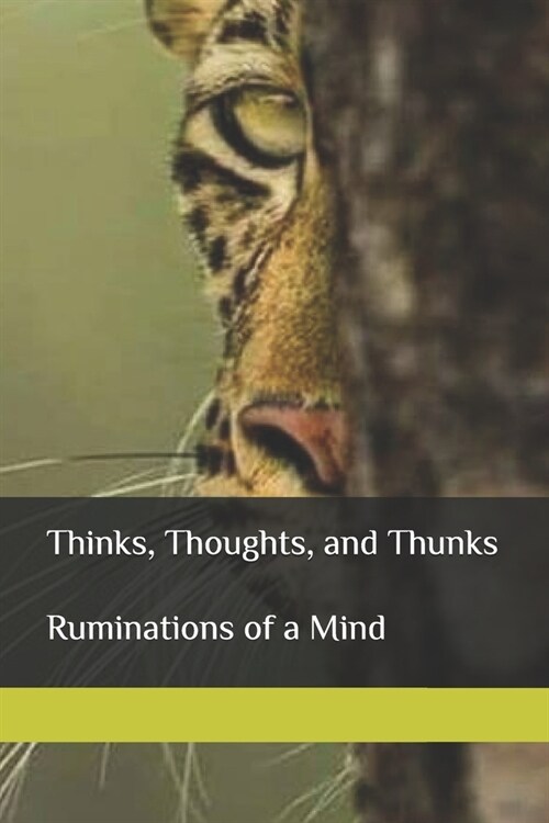 Thinks, Thoughts, and Thunks: Ruminations of a Mind (Paperback)