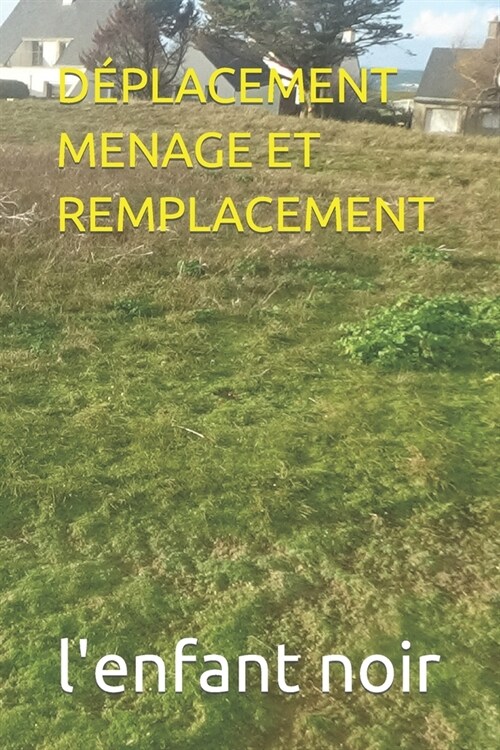 D?lacement Menage Et Remplacement (Paperback)