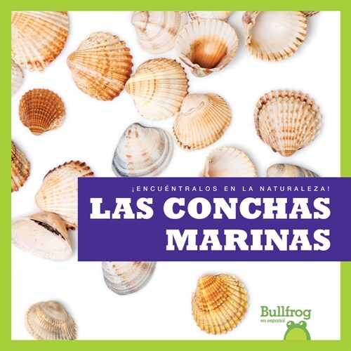 Las Conchas Marinas (Seashells) (Library Binding)