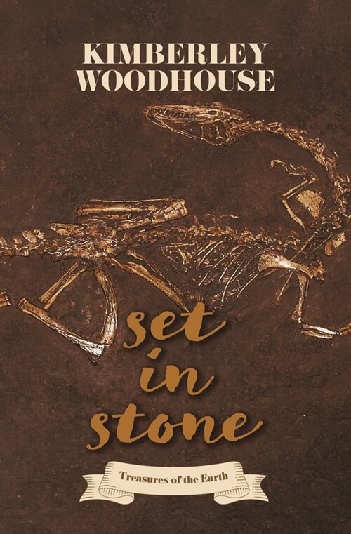 Set in Stone (Library Binding)