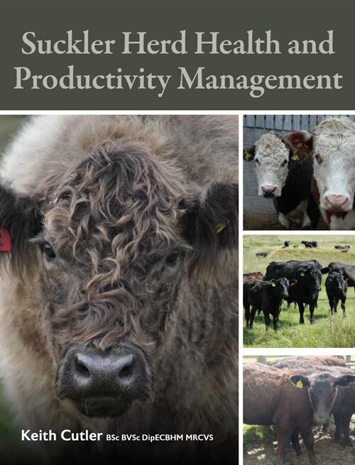 Suckler Herd Health and Productivity Management (Paperback)