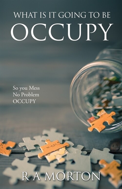 What Is It Going to Be Occupy: So you Mess- No Problem - Occupy (Paperback)