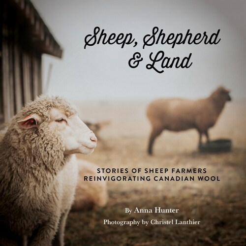 Sheep, Shepherd & Land: Stories from Small Farms Reinvigorating Canadian Wool (Paperback)