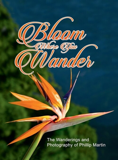 Bloom Where You Wander (Expanded, matte cover): The Wanderings and Photography of Phillip Martin (Hardcover)