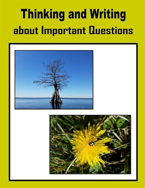 Thinking and Writing about Important Questions (Paperback)