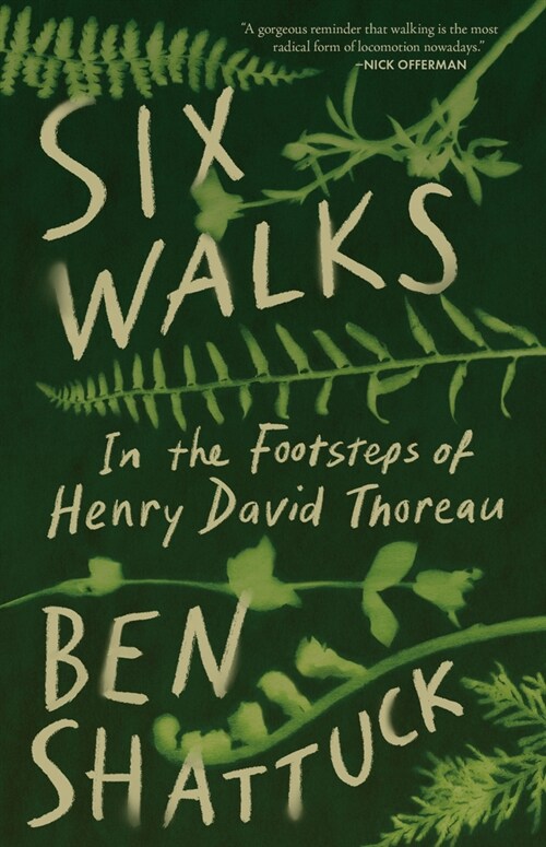 Six Walks: In the Footsteps of Henry David Thoreau (Paperback)