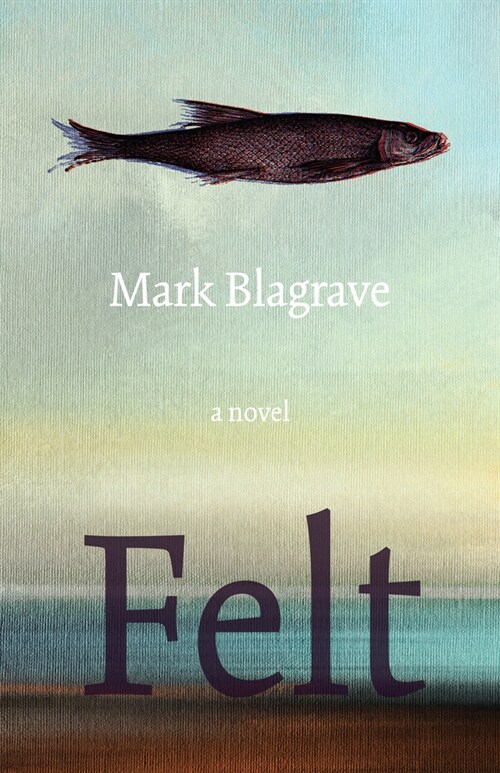 Felt (Paperback)