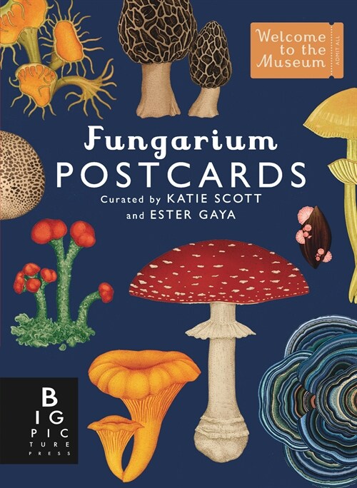 Fungarium Postcard Box Set (Other)