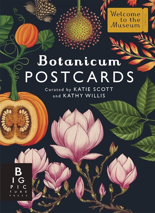 Botanicum Postcard Box Set (Other)