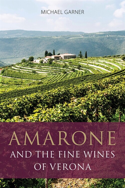 Amarone and the Fine Wines of Verona (Paperback)