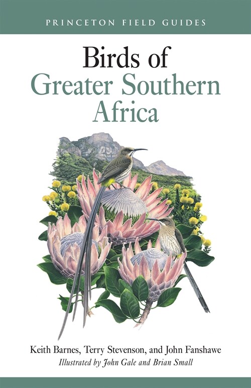 Birds of Greater Southern Africa (Paperback)