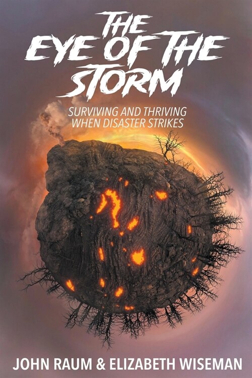 The Eye of the Storm: Surviving and Thriving when Disaster Strikes (Paperback)