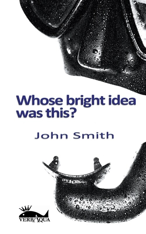 Whose Bright Idea Was This (Paperback)