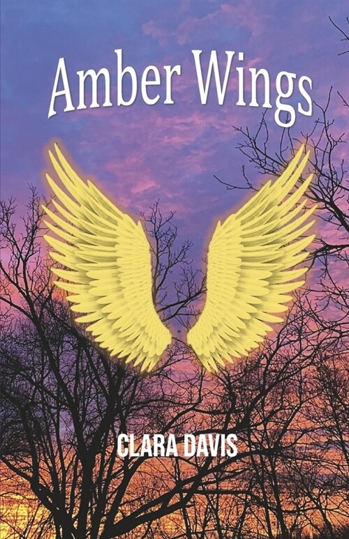 Amber Wings: Book 1 (Paperback)