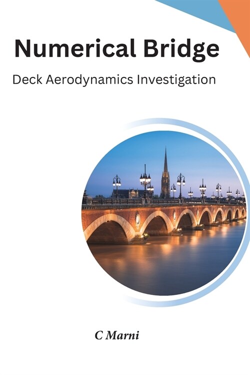 Numerical Bridge Deck Aerodynamics Investigation (Paperback)