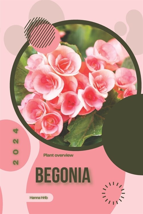 Begonia: Simply beginners guide (Paperback)