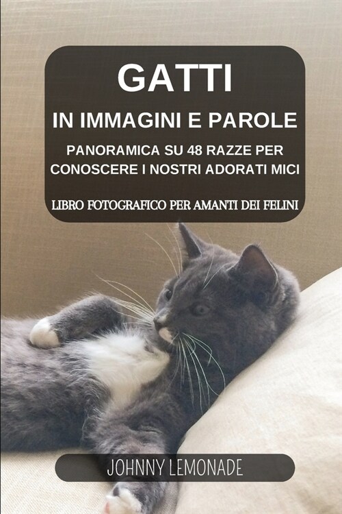 Gatti in immagini e parole: Libro fotografico per amanti dei felini: Panoramica su 48 razze per conoscere i nostri adorati mici (Paperback)