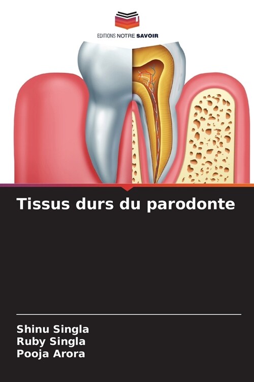 Tissus durs du parodonte (Paperback)