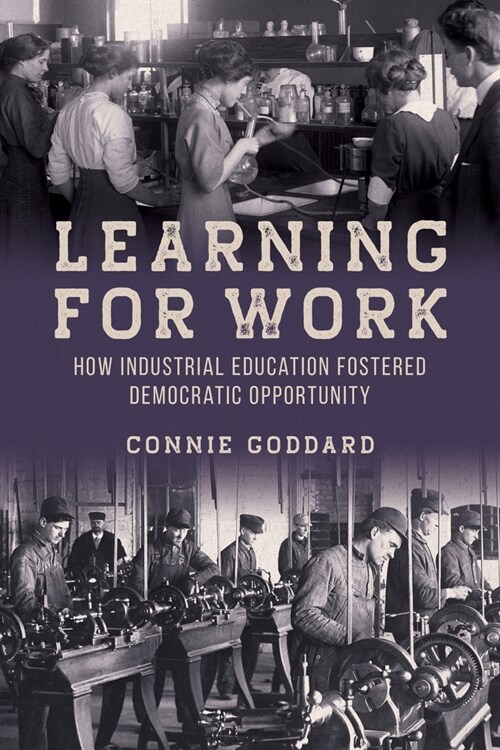 Learning for Work: How Industrial Education Fostered Democratic Opportunity (Hardcover)