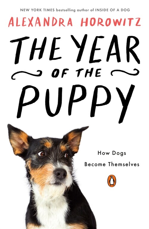 The Year of the Puppy: How Dogs Become Themselves (Paperback)