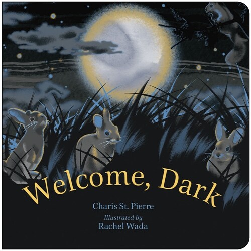Welcome, Dark (Board Books)