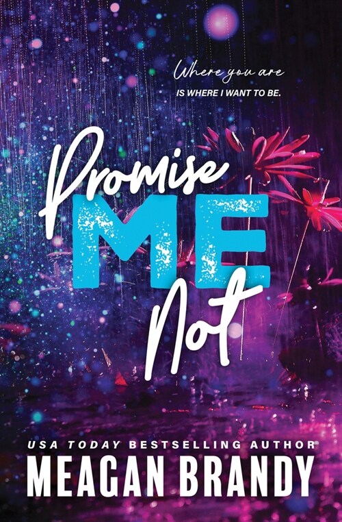 Promise Me Not (Paperback)