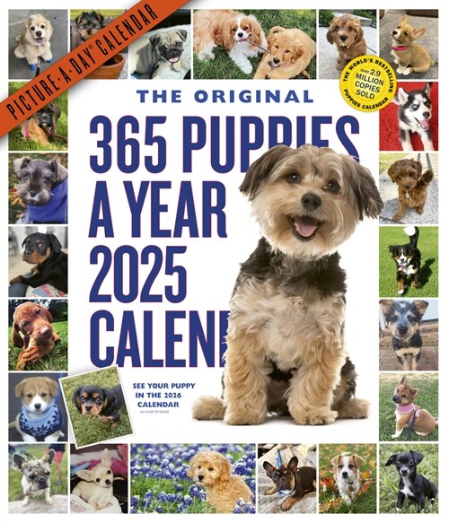 365 Puppies-A-Year Picture-A-Day(r) Wall Calendar 2025 (Wall)