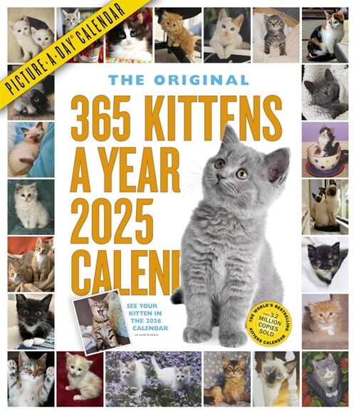 365 Kittens-A-Year Picture-A-Day(r) Wall Calendar 2025 (Wall)