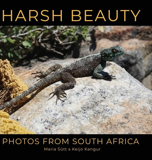 Harsh Beauty: Photos from South Africa (Hardcover)