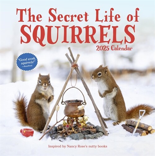 The Secret Life of Squirrels Wall Calendar 2025 (Wall)