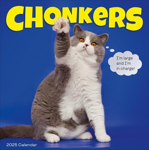 Chonkers Wall Calendar 2025: A Year of Cats Large and in Charge (Wall)