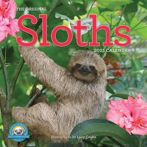 Original Sloths Wall Calendar 2025: The Ultimate Experts at Slowing Down (Wall)