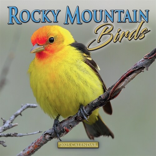 2025 Rocky Mountain Birds Wall Calendar (Other)