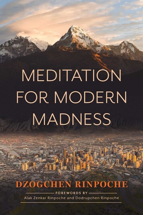 Meditation for Modern Madness (Paperback)