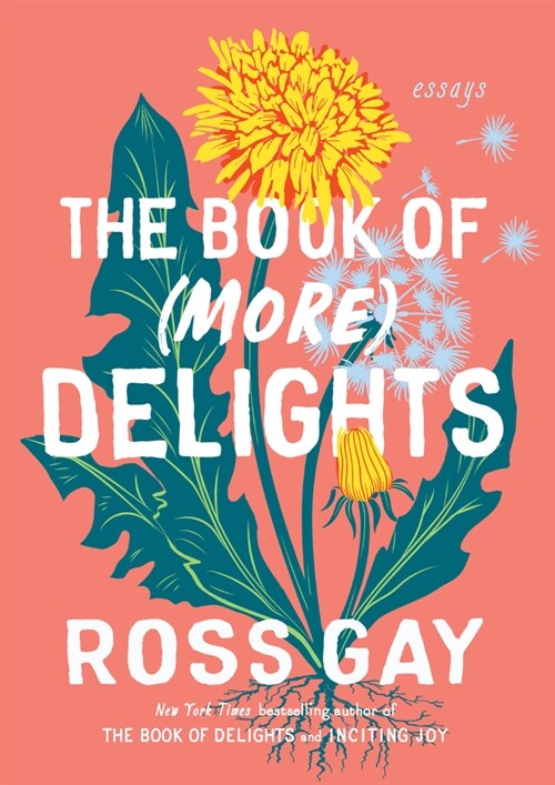 The Book of (More) Delights: Essays (Paperback)