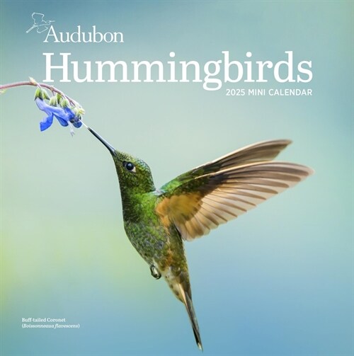 Audubon Hummingbirds Mini Wall Calendar 2025 (Wall)