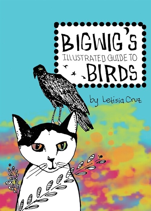 Bigwigs Illustrated Guide to Birds (Paperback)