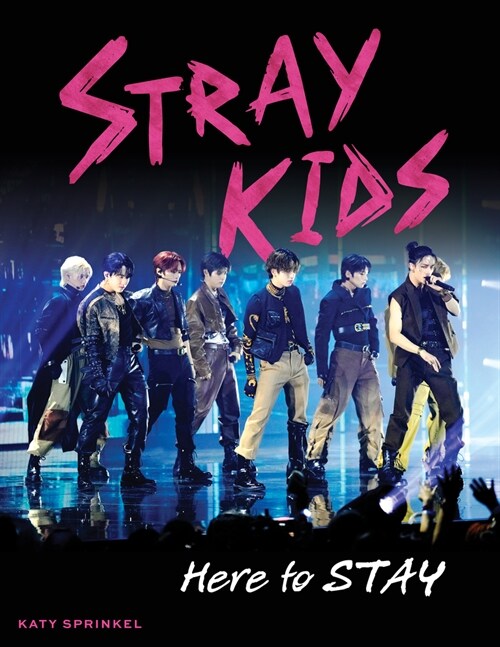 Stray Kids: Here to Stay (Paperback)