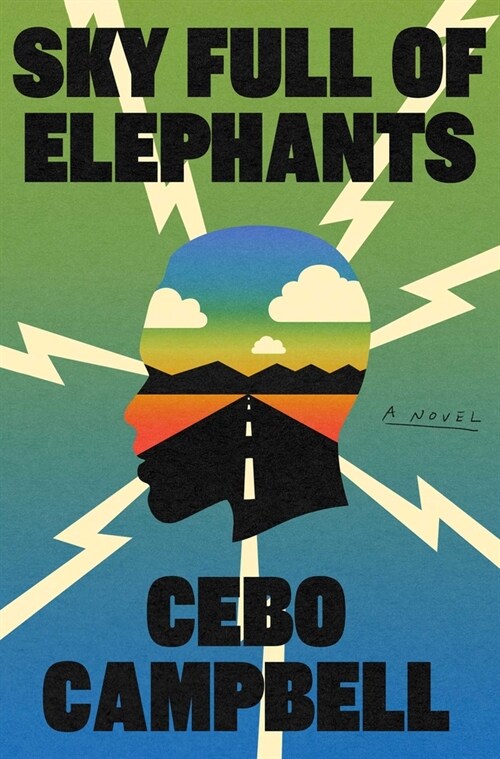 Sky Full of Elephants (Hardcover)