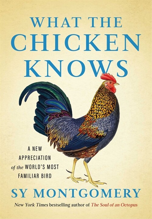 What the Chicken Knows: A New Appreciation of the Worlds Most Familiar Bird (Hardcover)