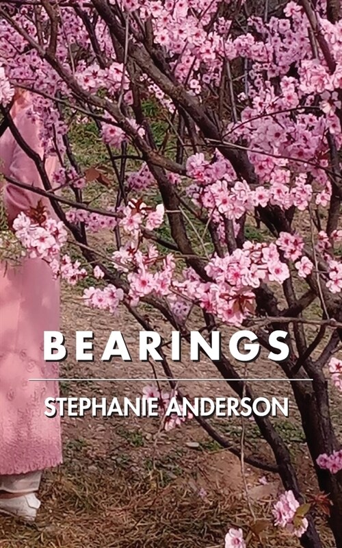 Bearings (Paperback)