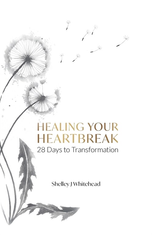 Healing Your Heartbreak: 28 Days to Transformation (Paperback)
