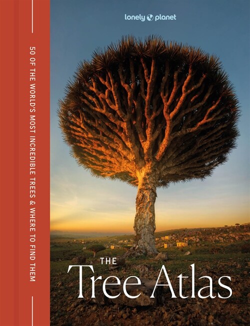 Lonely Planet the Tree Atlas (Hardcover)