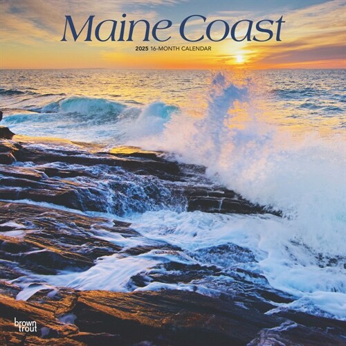 Maine Coast 2025 12 X 24 Inch Monthly Square Wall Calendar Plastic-Free (Wall)