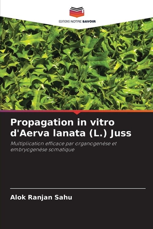 Propagation in vitro dAerva lanata (L.) Juss (Paperback)