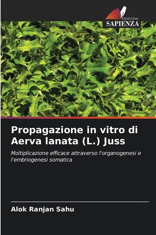 Propagazione in vitro di Aerva lanata (L.) Juss (Paperback)