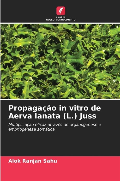 Propaga豫o in vitro de Aerva lanata (L.) Juss (Paperback)