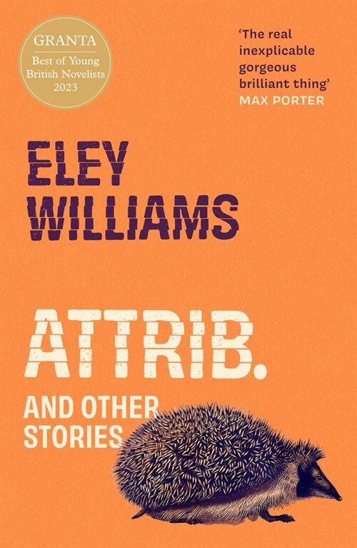 Attrib. : And Other Stories (Paperback)